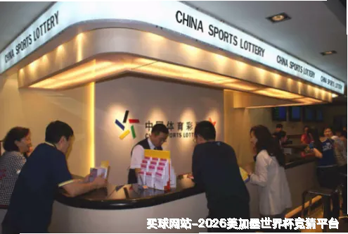 核心团队与专业资质