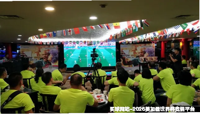 未来愿景与发展方向